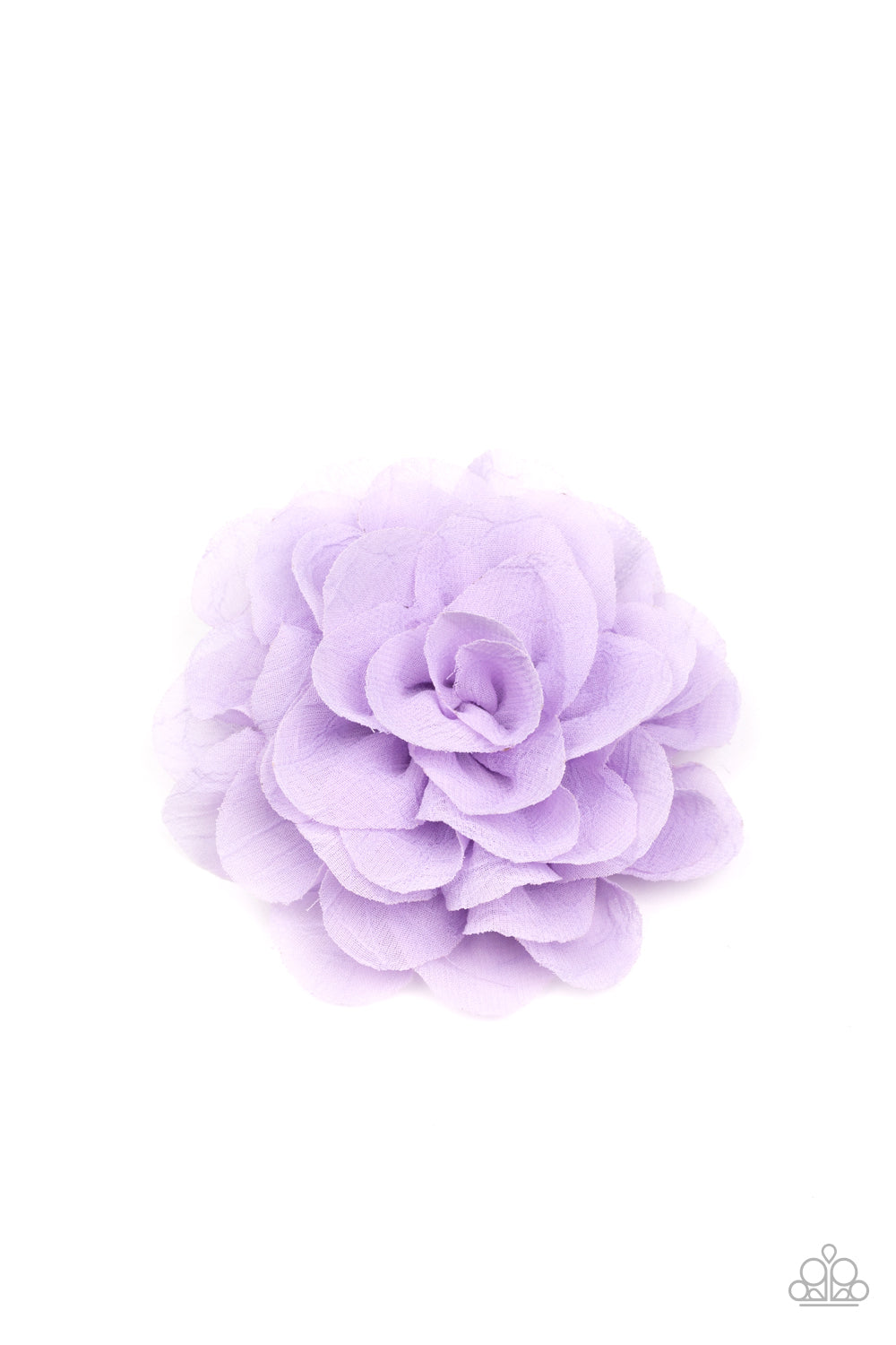 DAHLIA DIVA - PURPLE